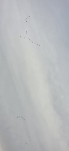 20250814_195708