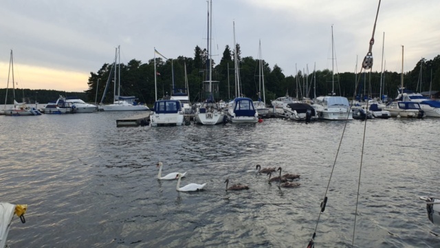 IMG-20250814-WA0019